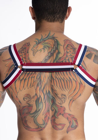 Harness em Elástico Tricolor com Triângulo - HE001VP