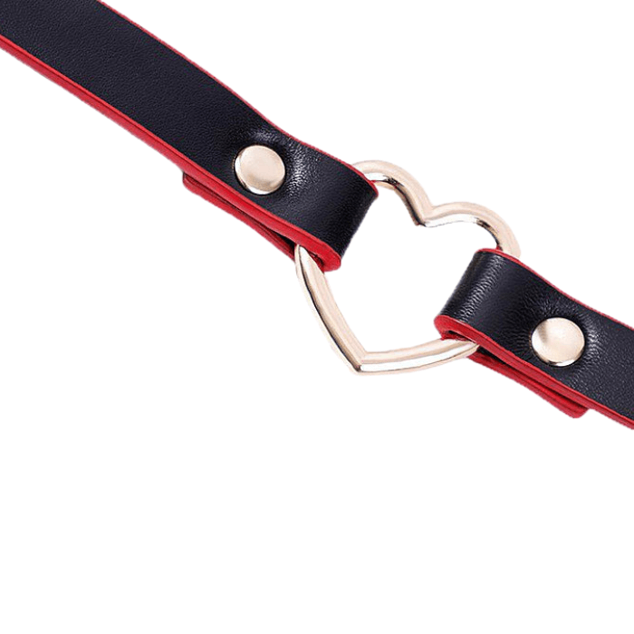 Chocker Com Detalhe De Coração Bicolor -8063