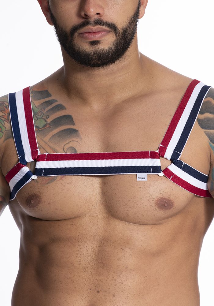 Harness em Elástico Tricolor com Triângulo - HE001VP