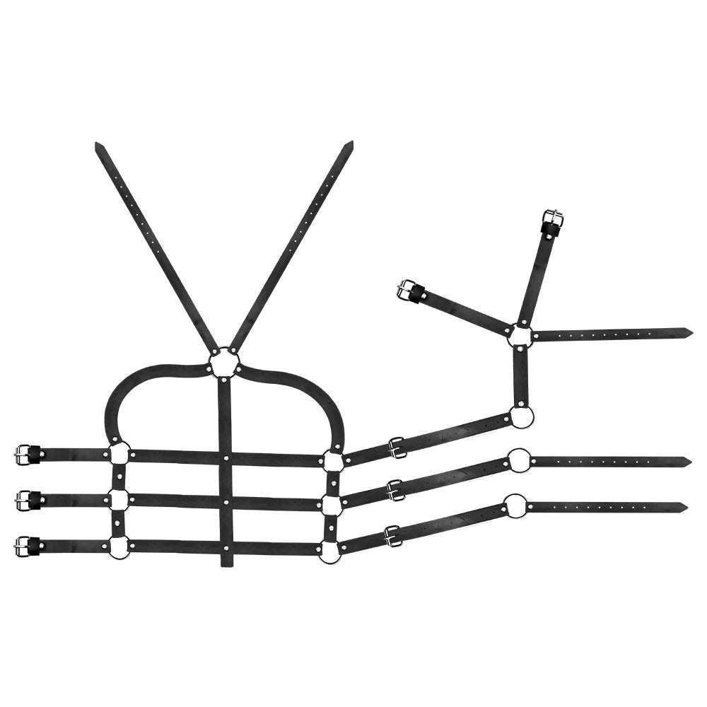 Harness Cintura E Peitoral Em Couro